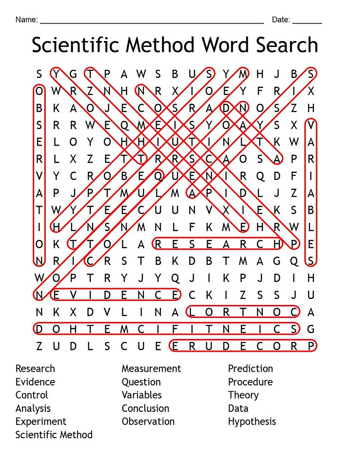 Printable Scientific Method Word Search – 16 Key Vocabulary Puzzle Activities! product image (2)