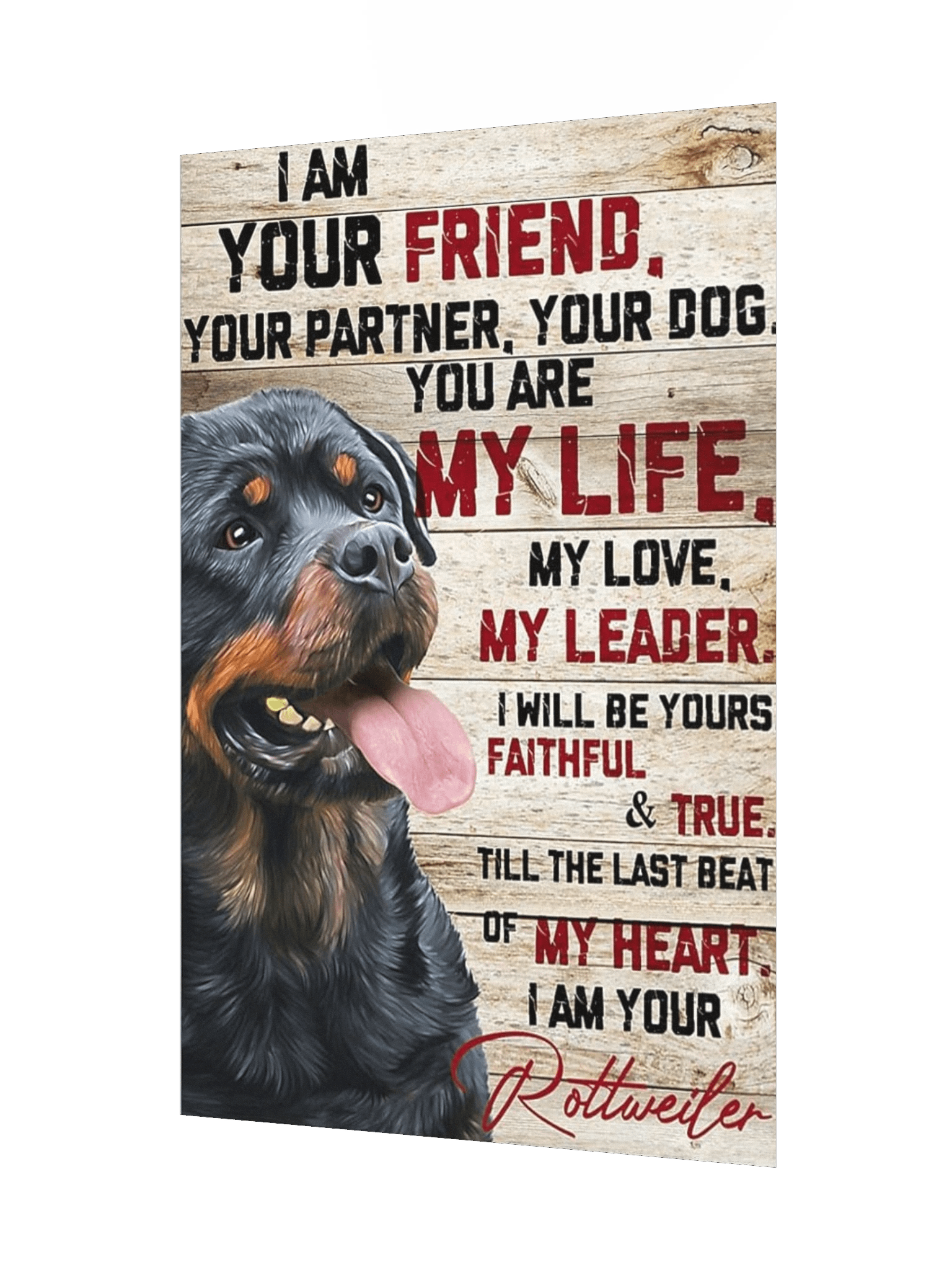 Faithful Rottweiler Poster product image (8)