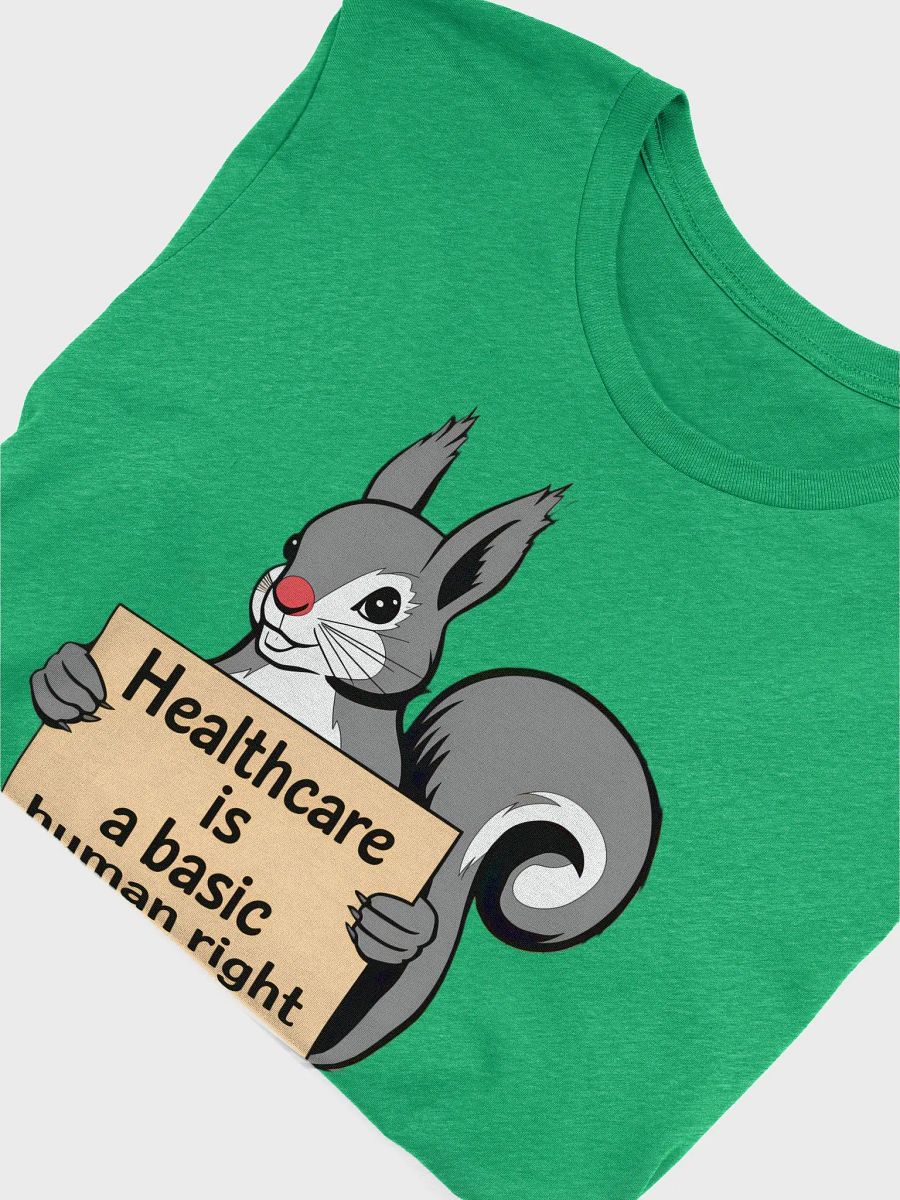 Super Soft and Flattering Tee: Pooky knows that Healthcare is a Human Right, let him tell the world for you product image (5)