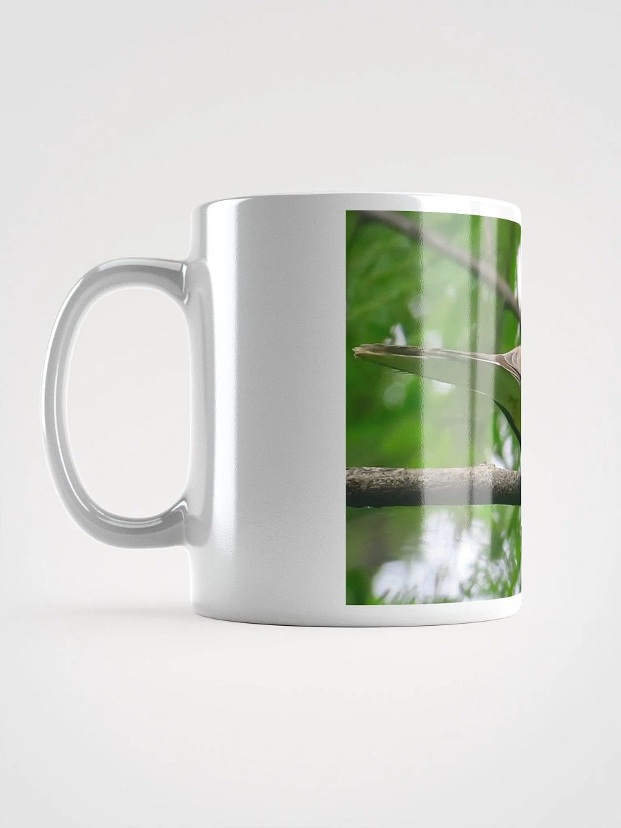 IUCAA Birds MUG product image (6)