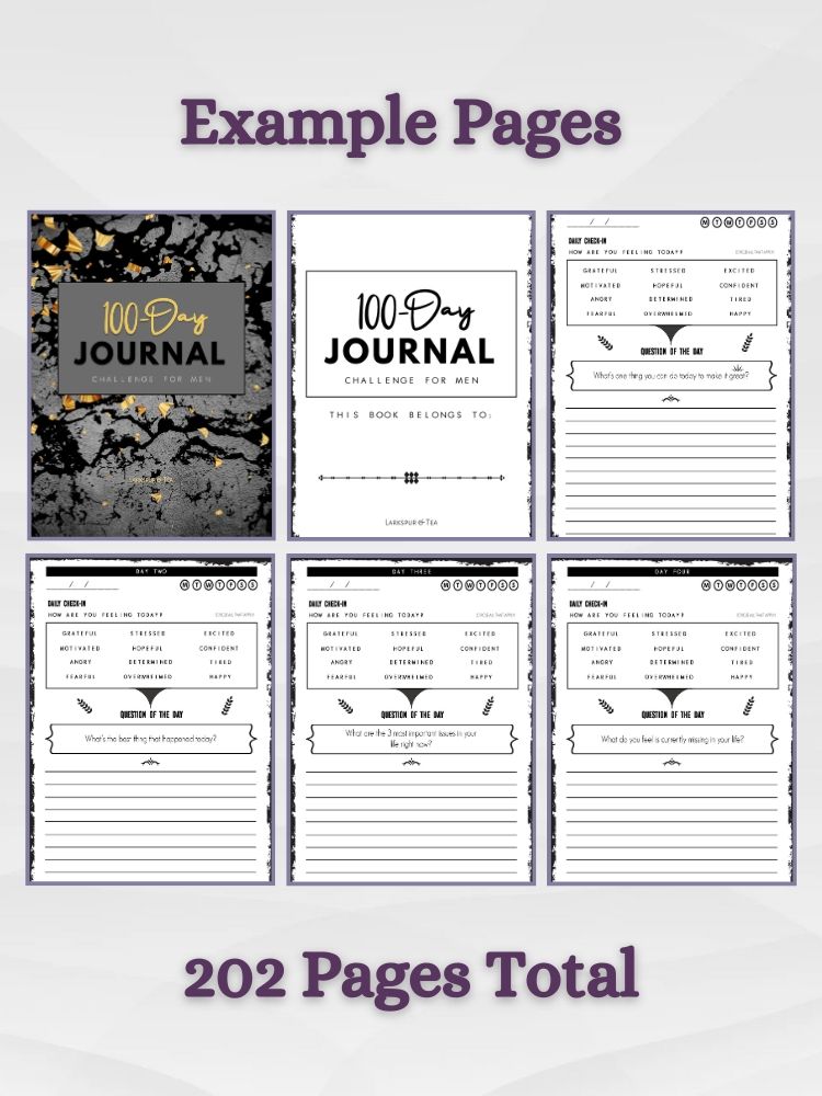 100-Day Journal Challenge for Men – A Guided Journal for Mental Health and Inner Growth product image (4)