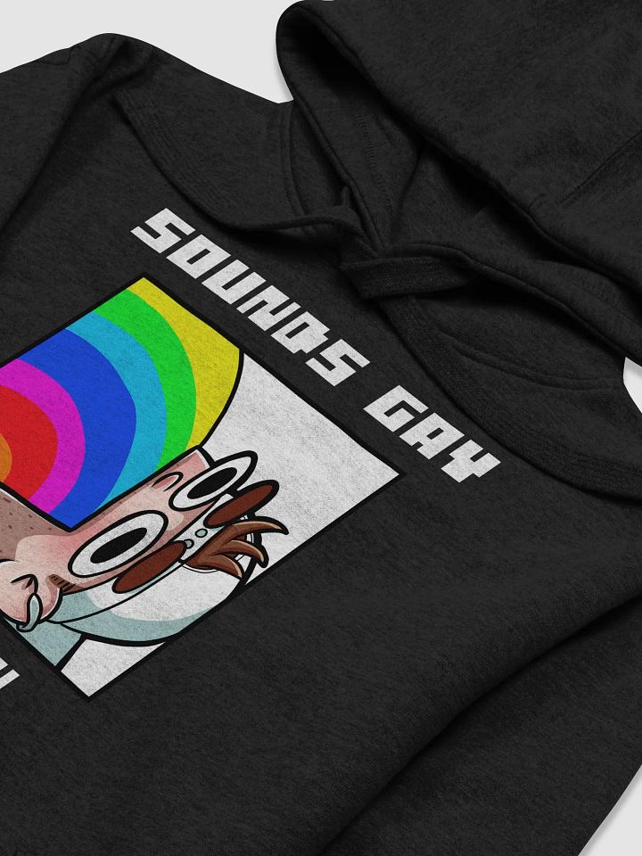 Sounds Gay I'm In Alt Premium Hoodie product image (2)