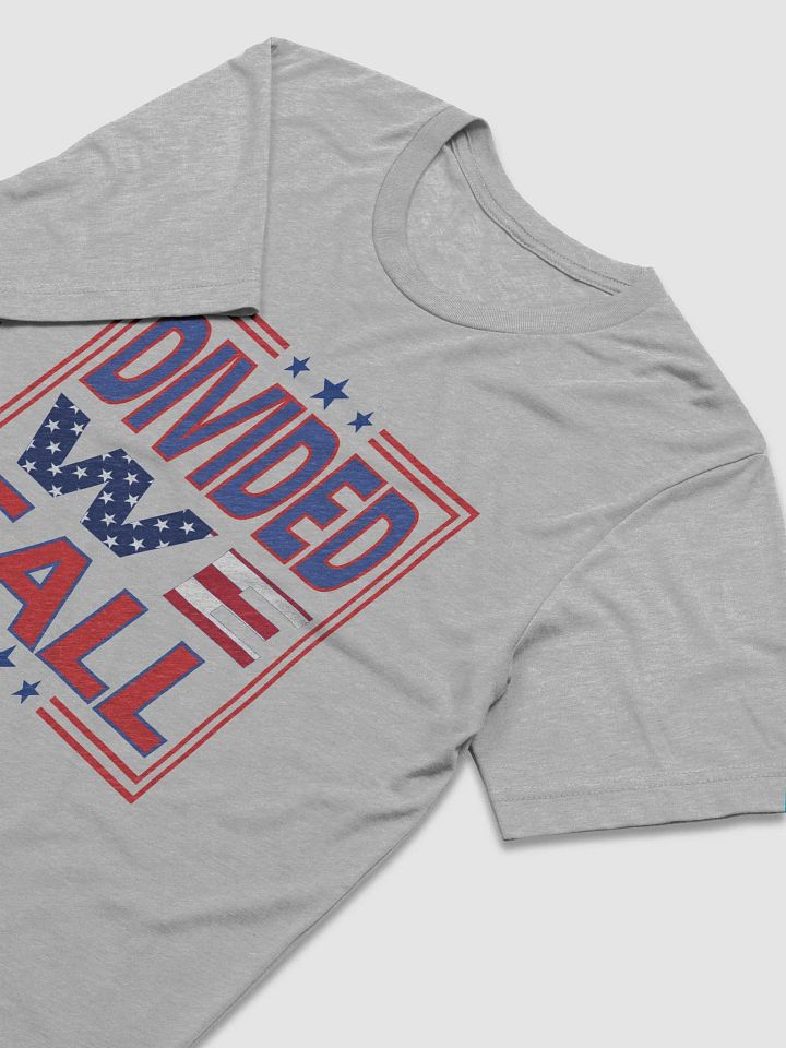 Divided We Fall - USA - Bella+Canvas Triblend Short Sleeve T-Shirt product image (1)