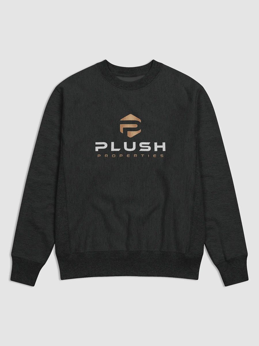 Plush Cotton Max Sweatshirt by Champion product image (1)