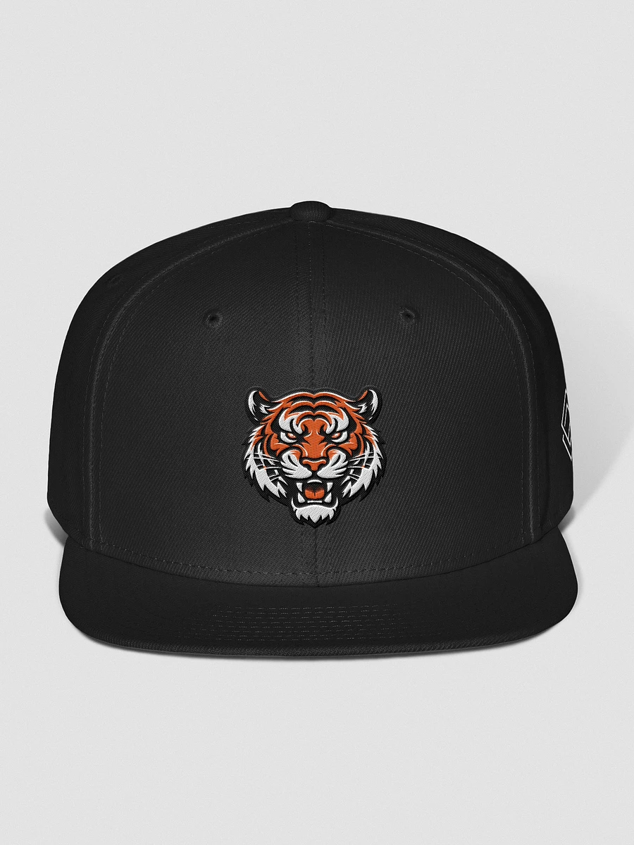 Wichita Wild Chosen Snapback Hat product image (3)