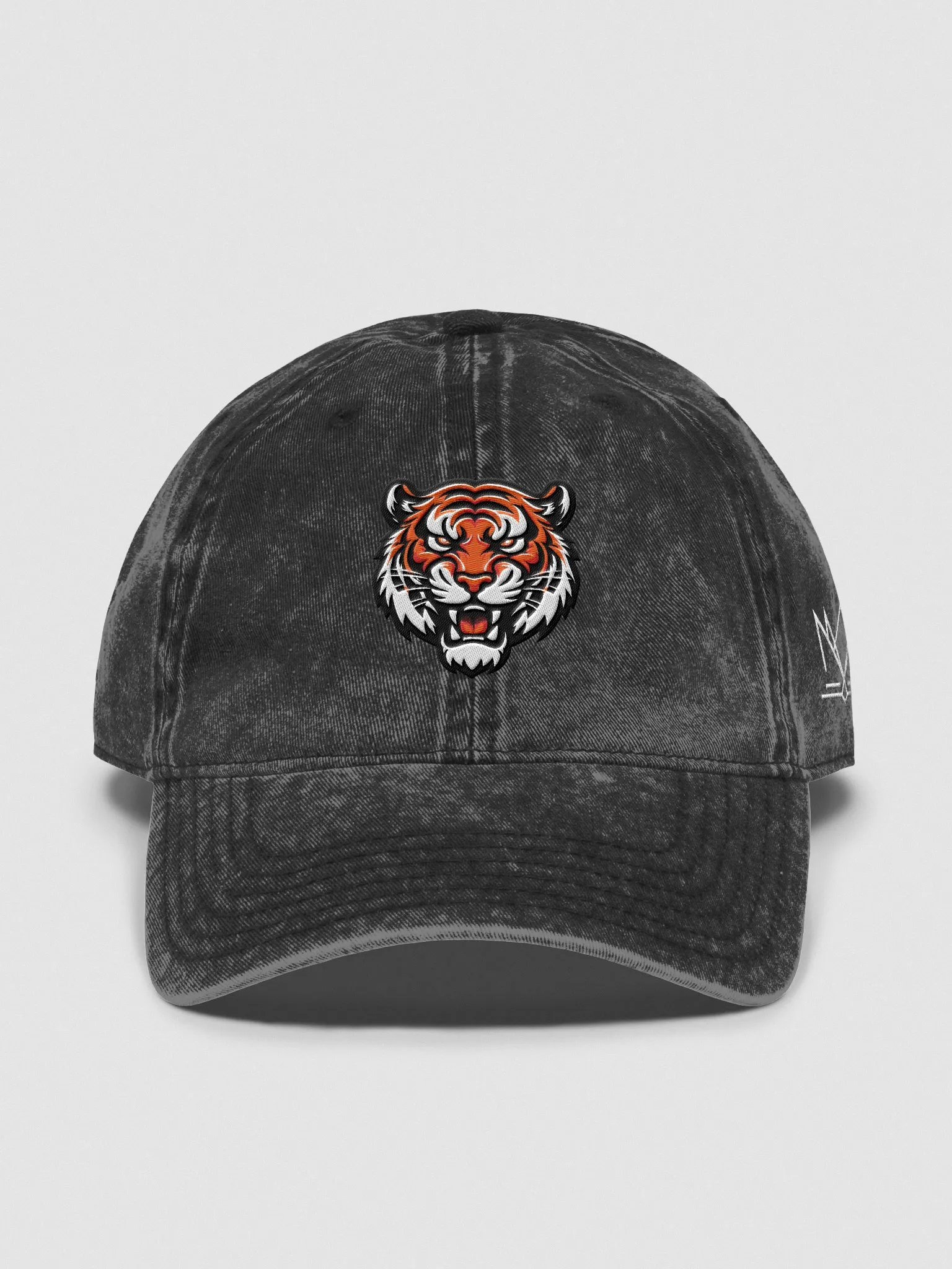 Wichita Wild Wash Dad's Hat product image (1)
