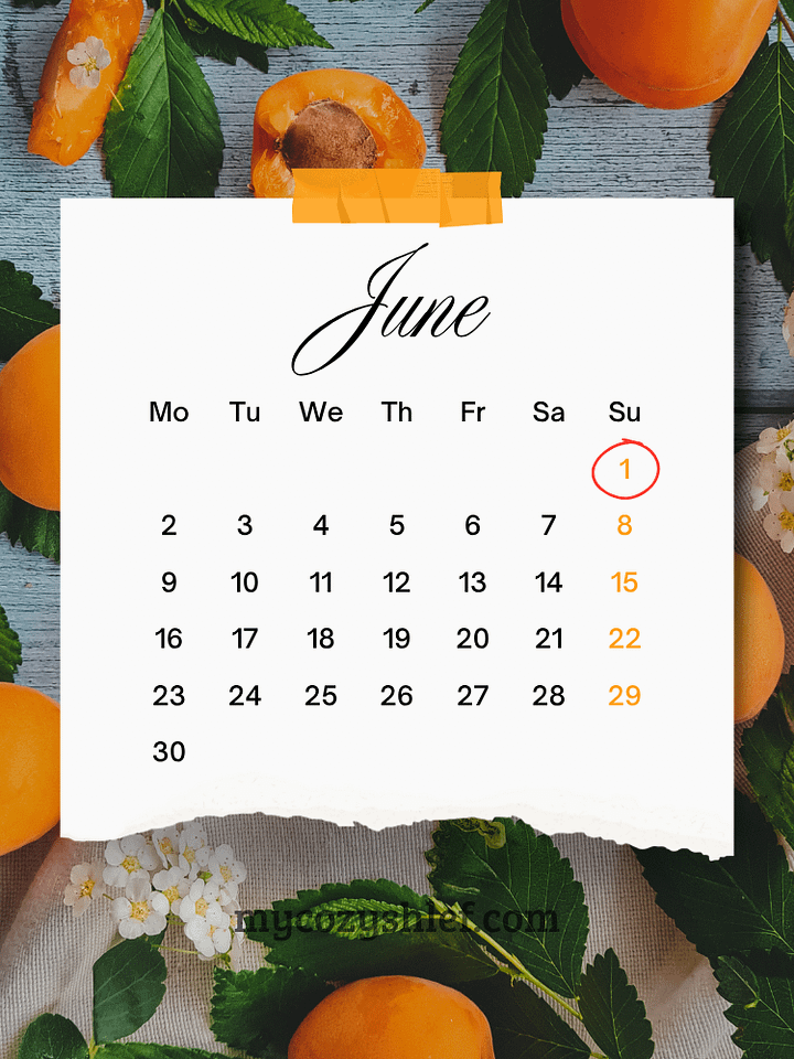 Printable Planner Notebook: Daily, Weekly & Monthly Organizer product image (2)