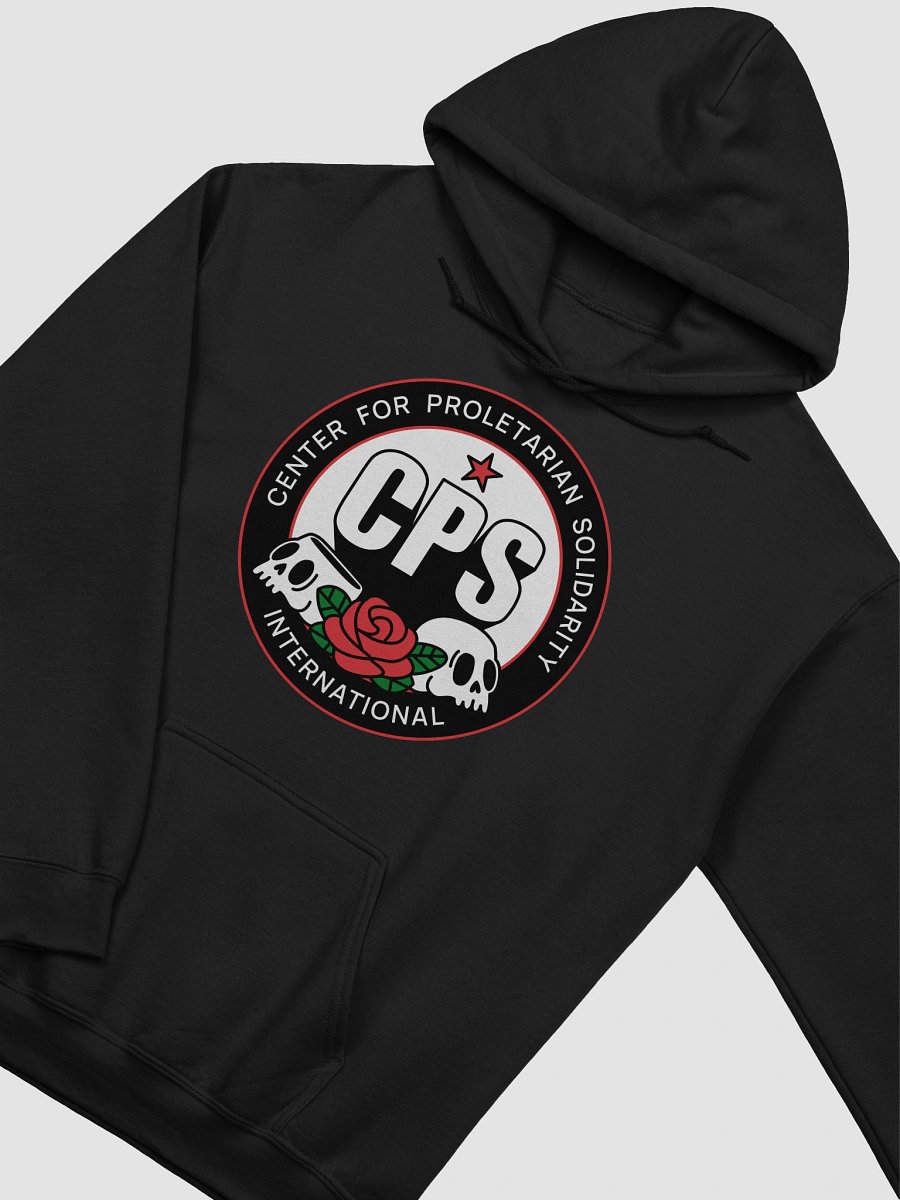 CPS Hoodie product image (3)