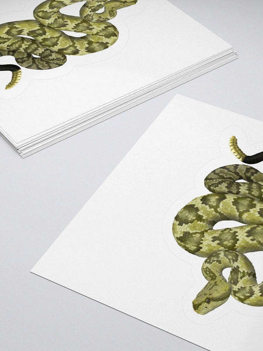 Die-Cut Sticker – Blacktailed Rattlesnake (Desert Phase) product image (4)