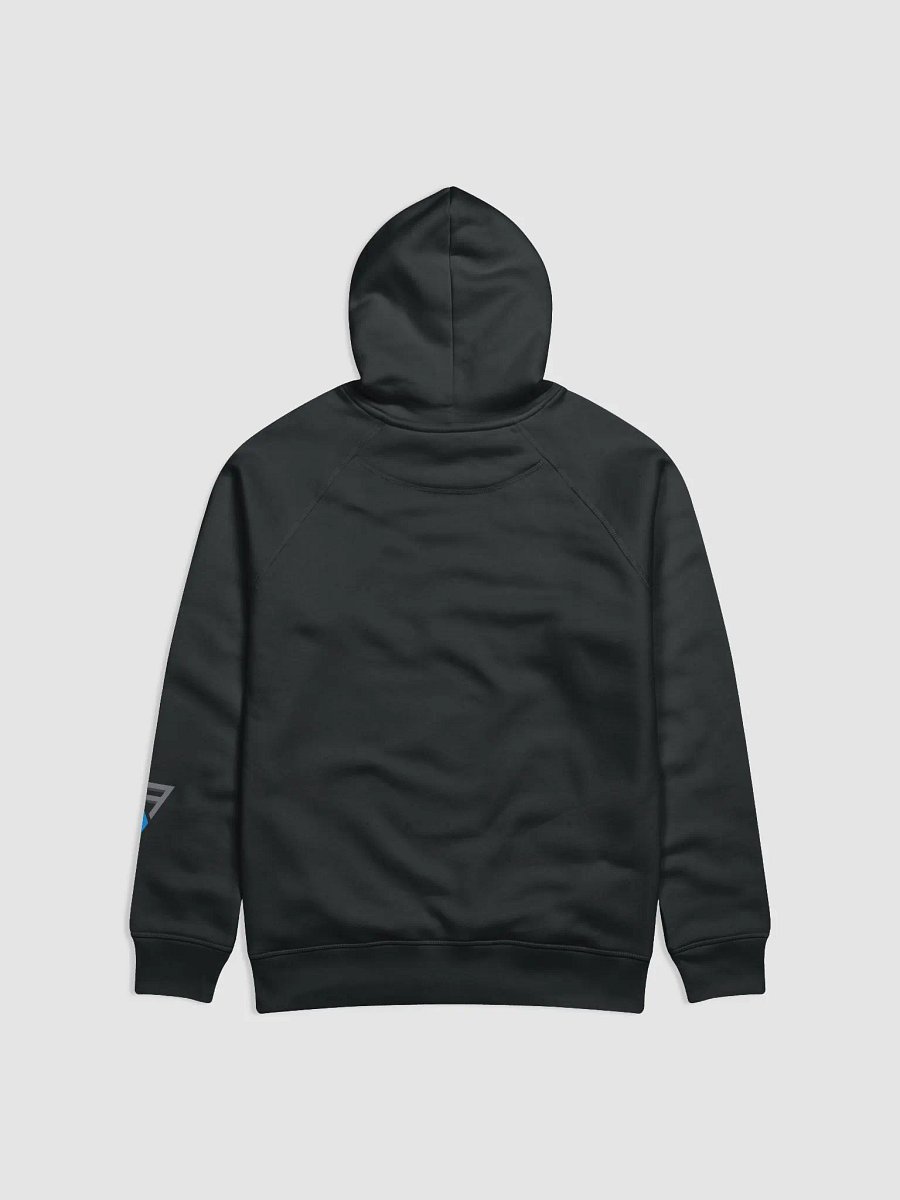 FATE Hoodie Premium (Unisex) product image (2)