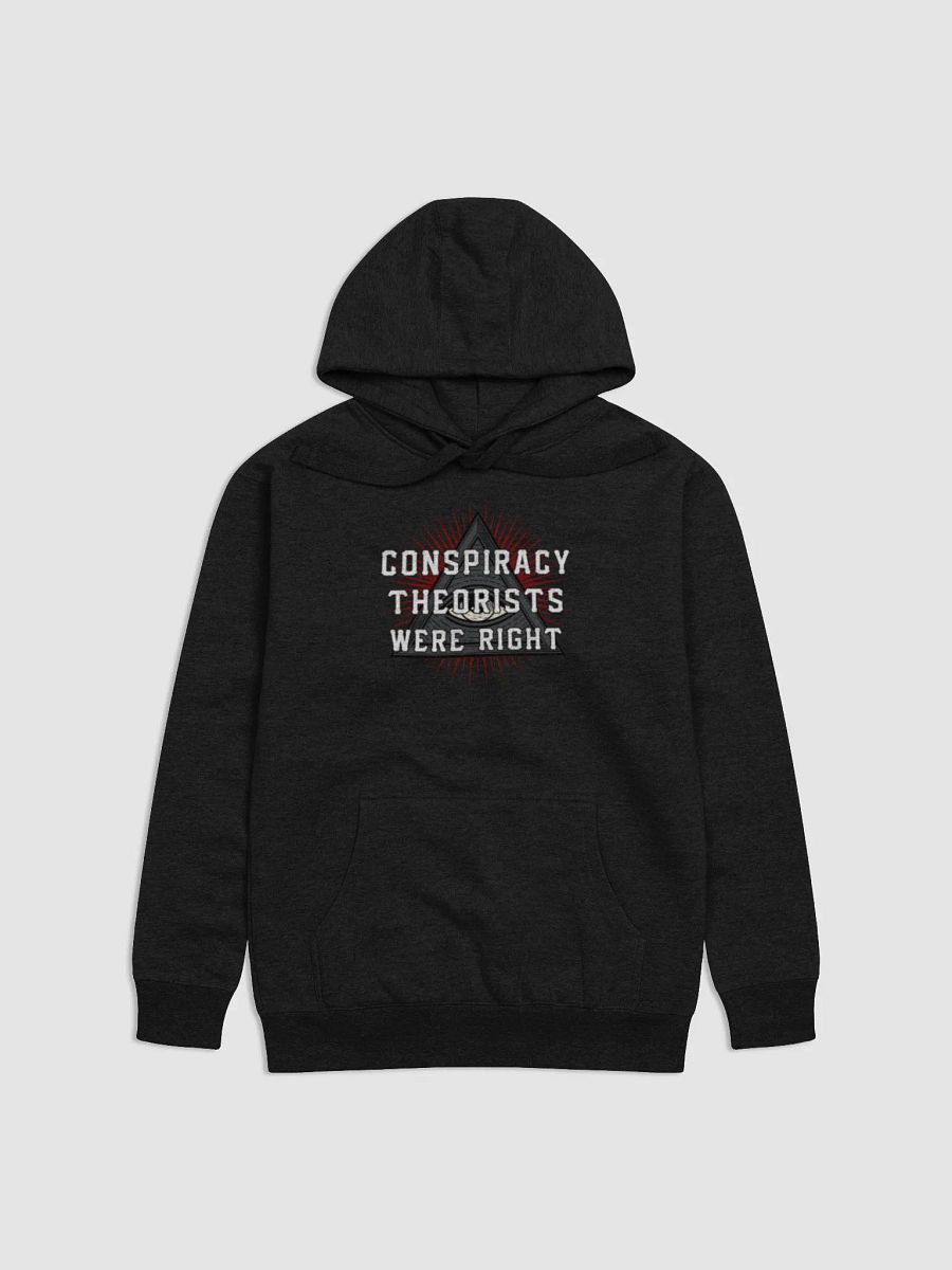 Conspiracy Theorists Were Right! - Premium Hoodie product image (1)