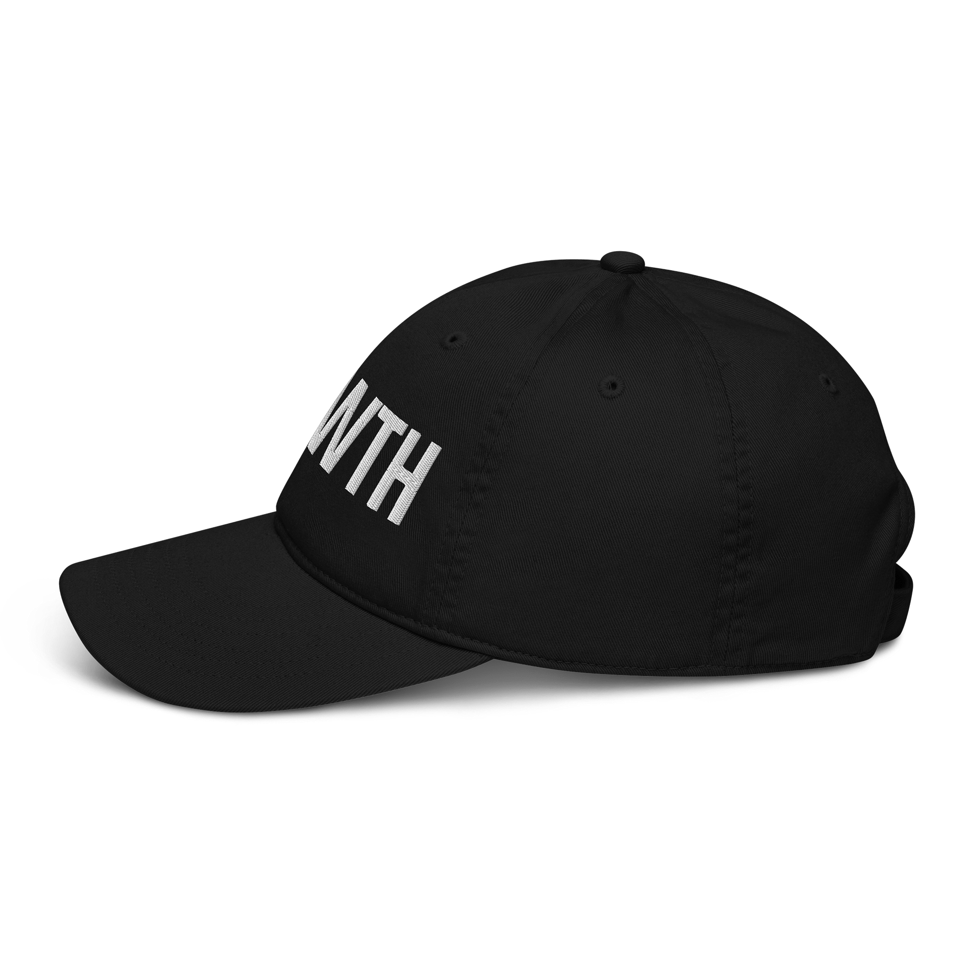 Growth Dad Hat product image (3)