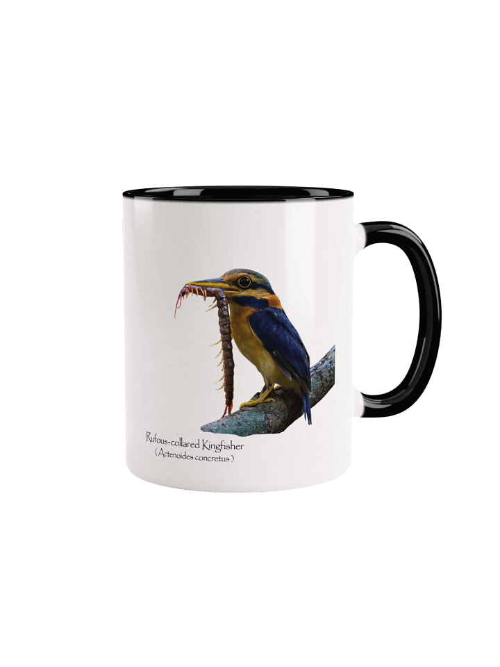 Rufous-collared Kingfisher mug product image (4)