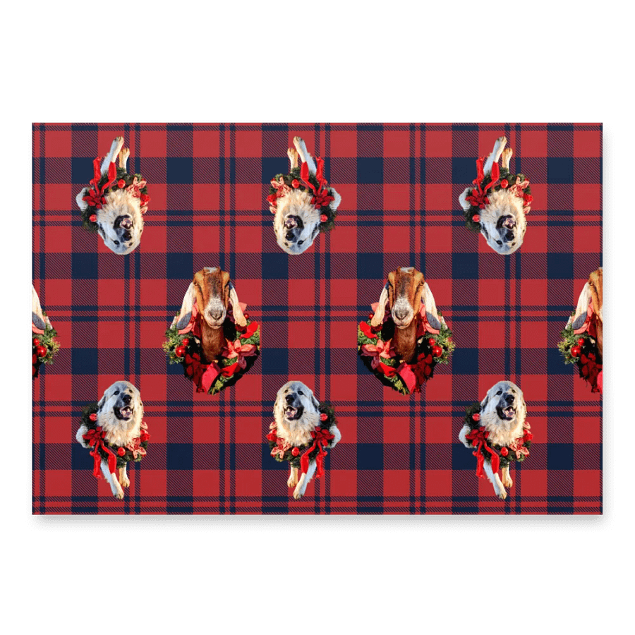 Wrap it up product image (2)