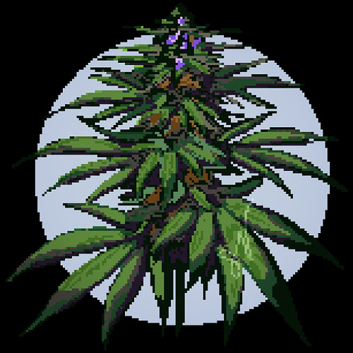 Spent about an hour last night cranking out this little cannabis plant piece. I love how messy and perfectly detailed pixel a...