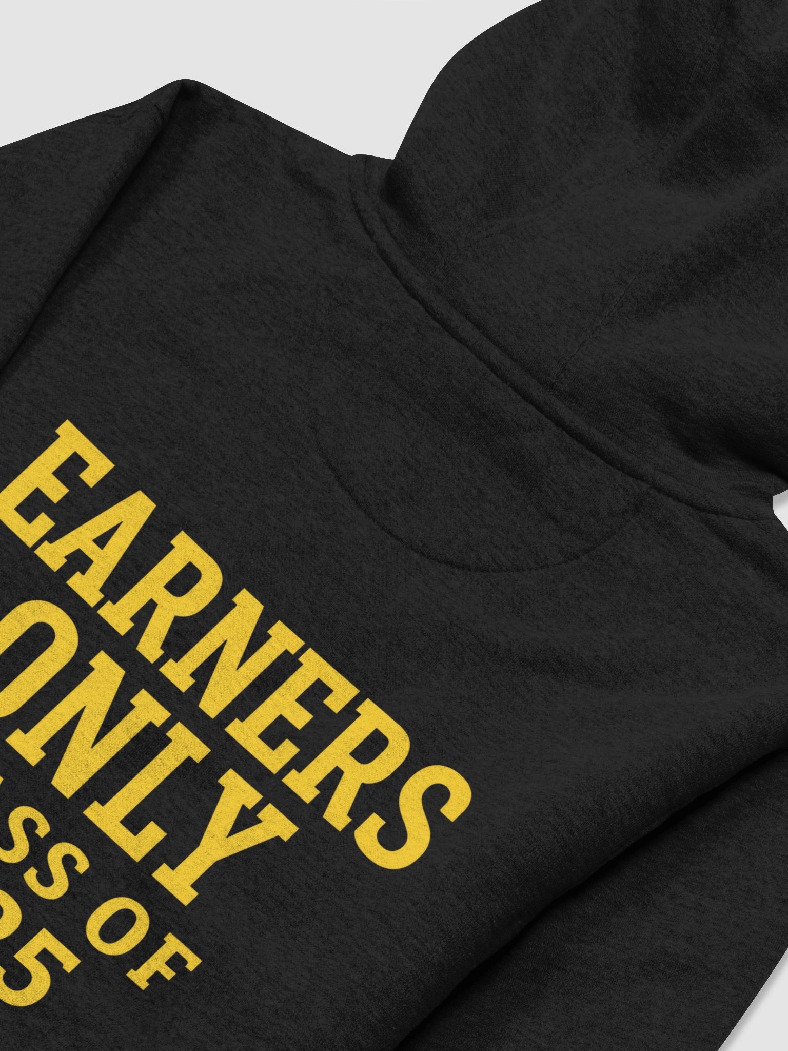 Orlando University Hoodie – Earners Only Edition product image (4)