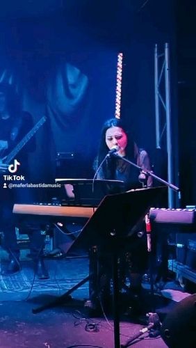 Another short vid from one of our shows, thanks for coming 🫂🖤🇫🇷 More like this on my #Patreon
#evanescencecover #evanescencet...