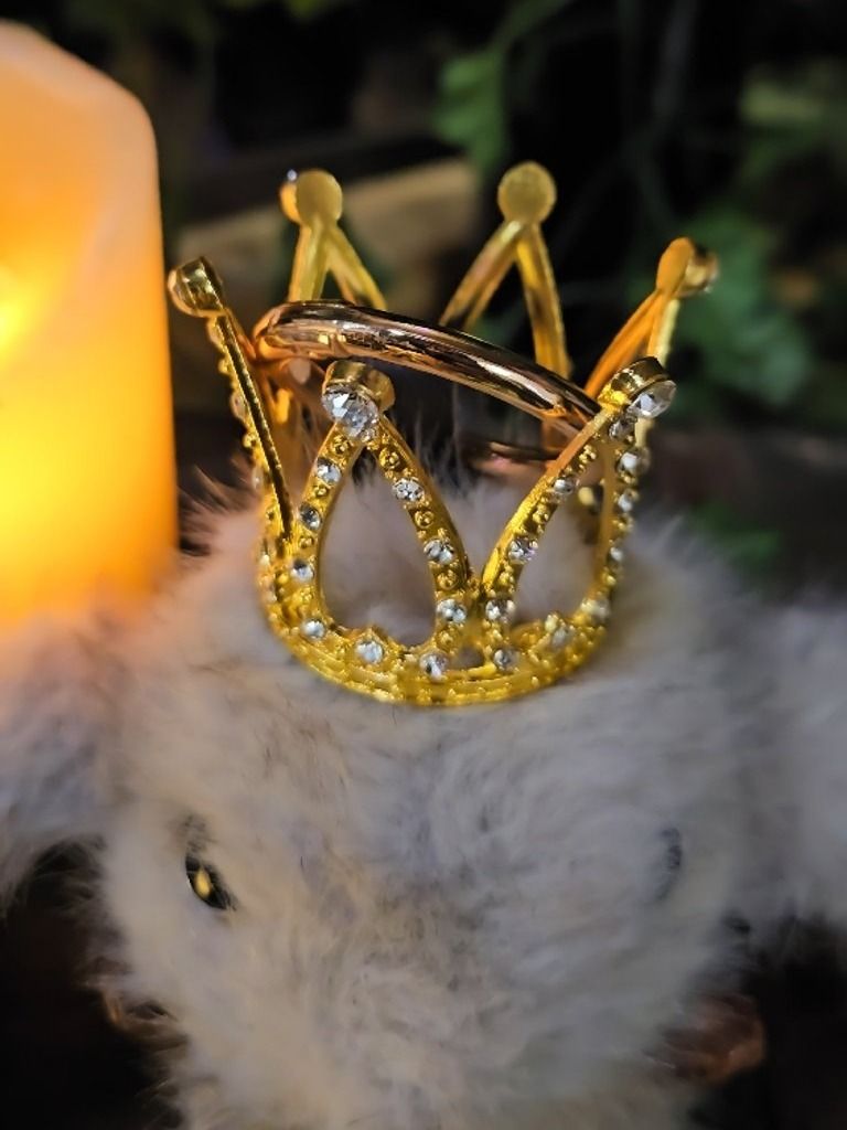 The Armored Kingdom Crowned Brown Snugglehop Bunny Keychain product image (4)