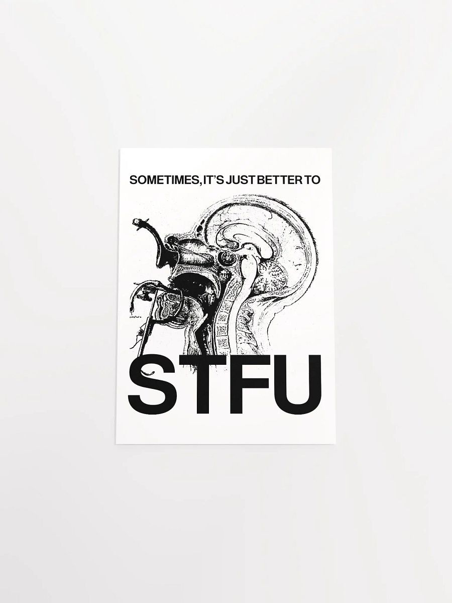 STFU - Poster product image (16)