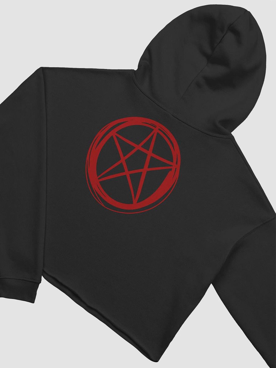 Demon Crop Hoodie product image (4)