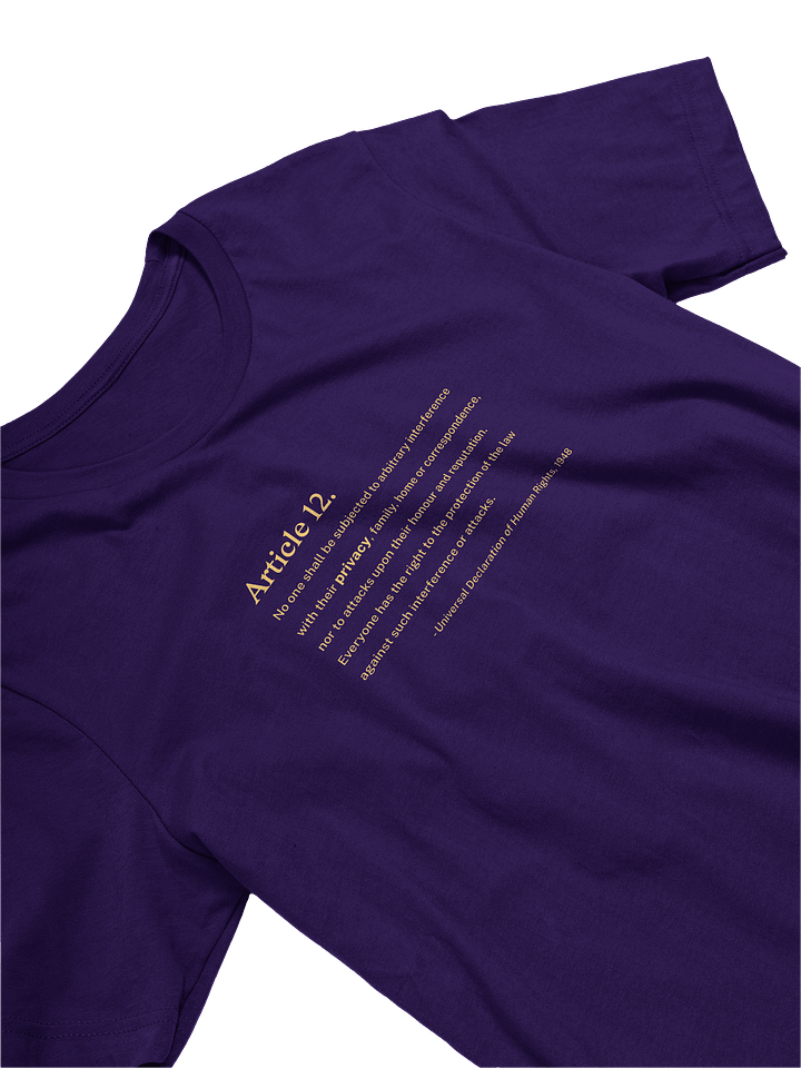 Article 12 - Supersoft T-Shirt (Bella+Canvas) product image (2)