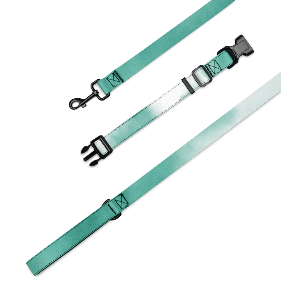 Teal Flow Pet Collar & Leash Set product image (4)