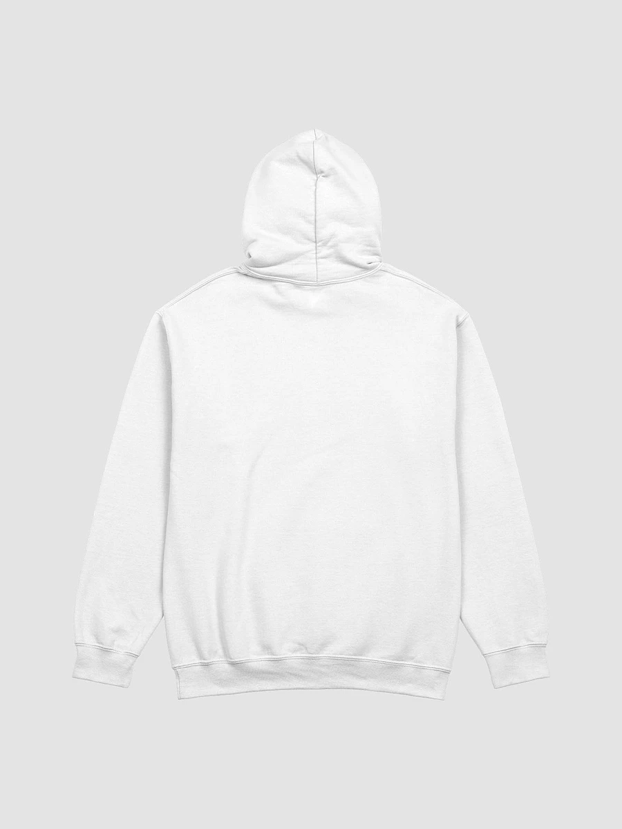 Bear Plays Classic Hoodie product image (14)