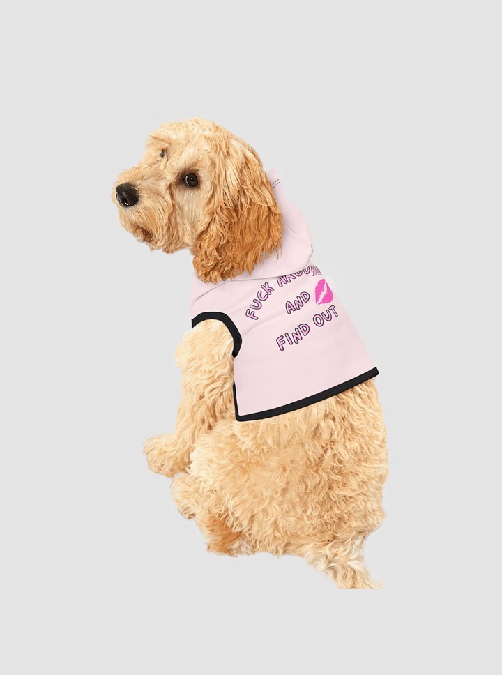 Fuck Around and Find Out - Dog Hoodie product image (2)