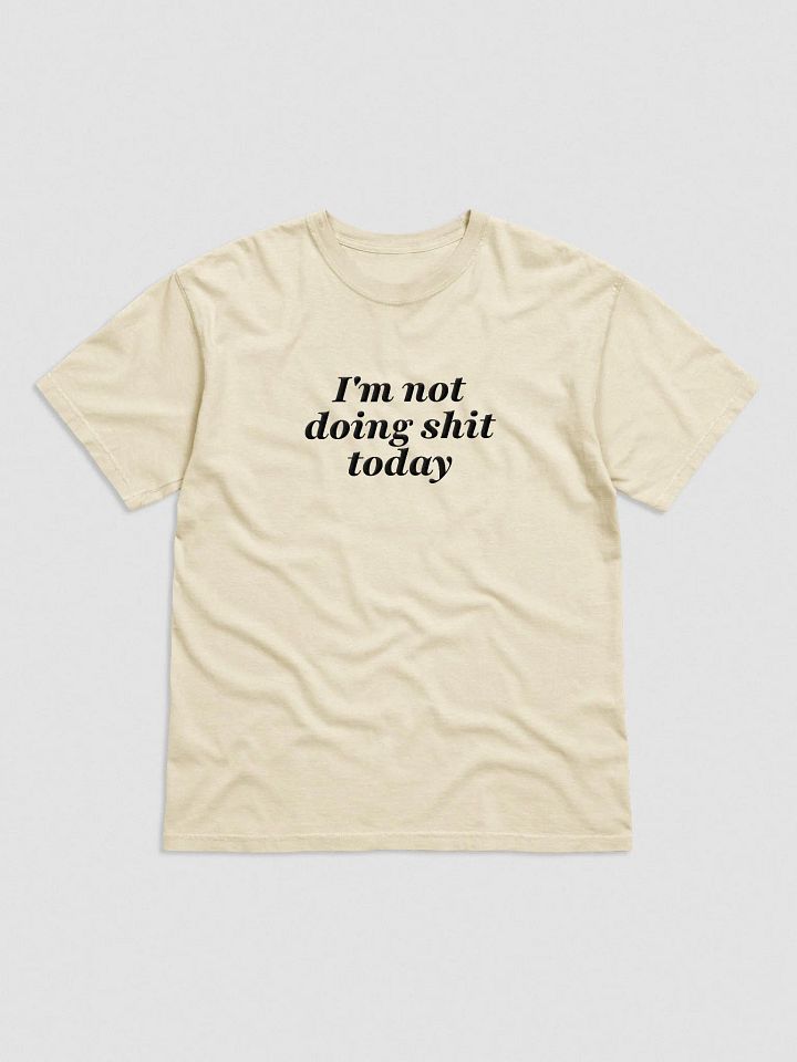 'Not Doing Shit' Embroidered Tee product image (1)