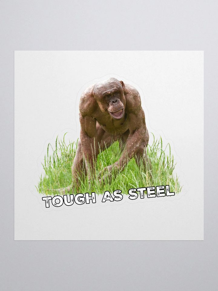 Hairless Chimp Tough As Steel product image (2)