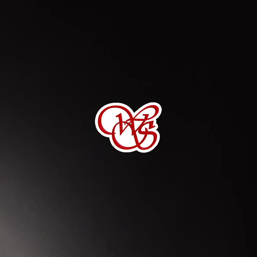 WS 3