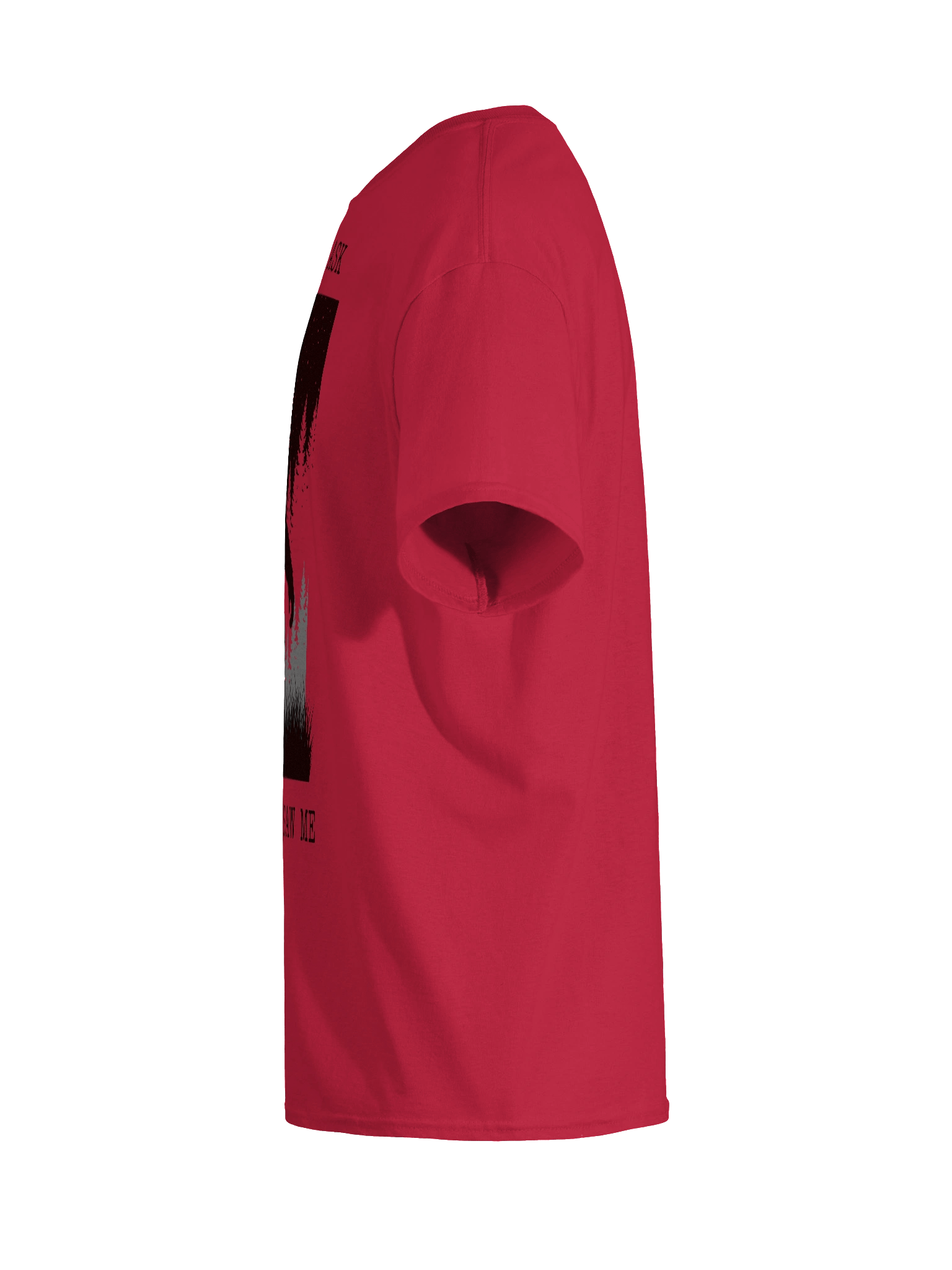 If They Ask You Never Saw Me - Tee product image (15)