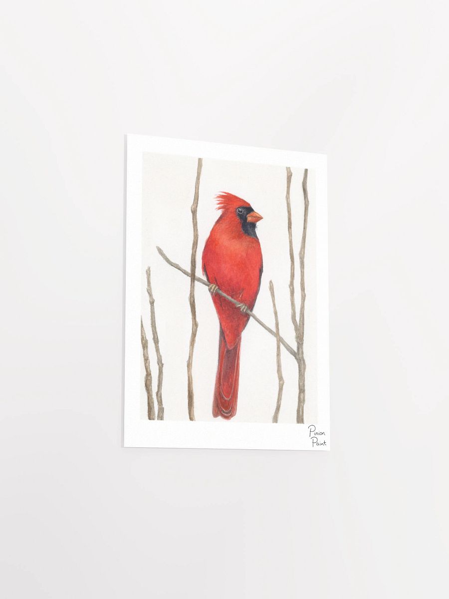 Cardinal print product image (5)