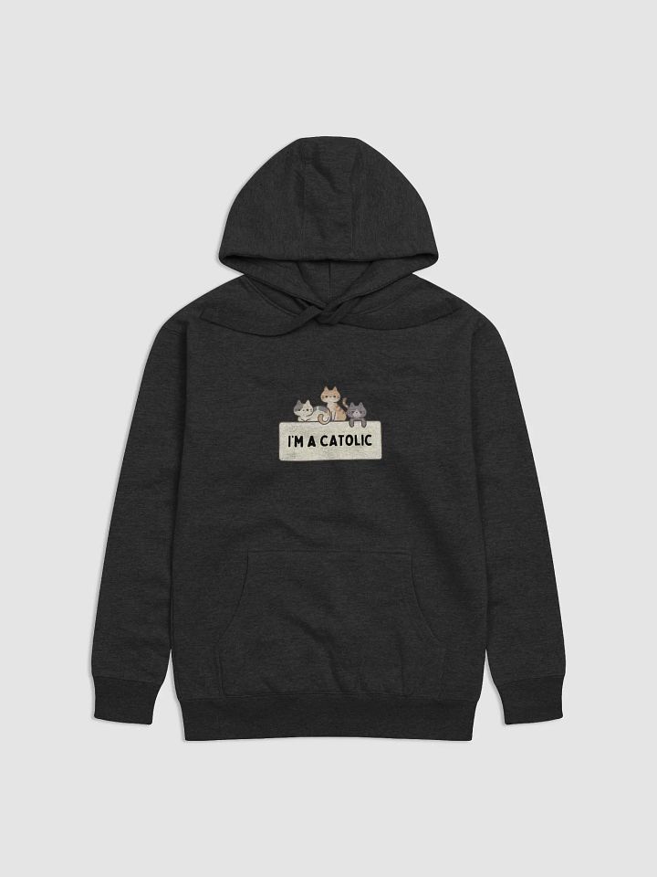 Paws & Praise Hoodie product image (1)
