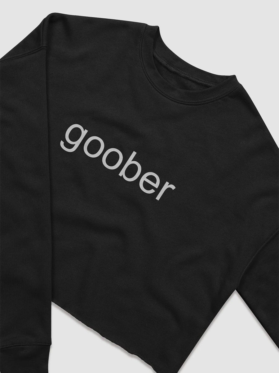 Goober (White Text) Embroidered Crop Top Sweater product image (9)