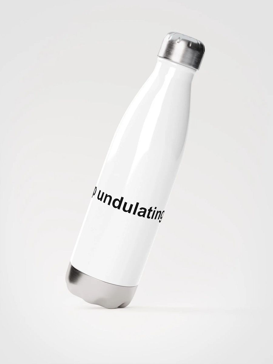 Stop Undulating Water Bottle product image (2)