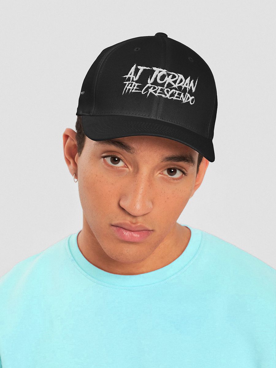 AJ Jordan The Crescendo Embroidered Fitted Hat product image (2)
