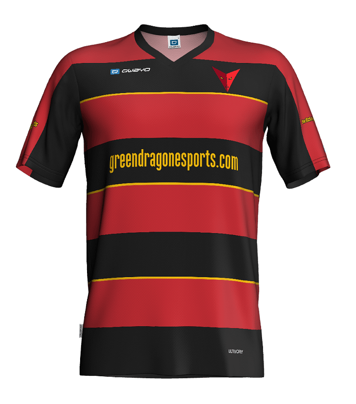 Mens Official 2025 GDF Team Shirt product image (1)