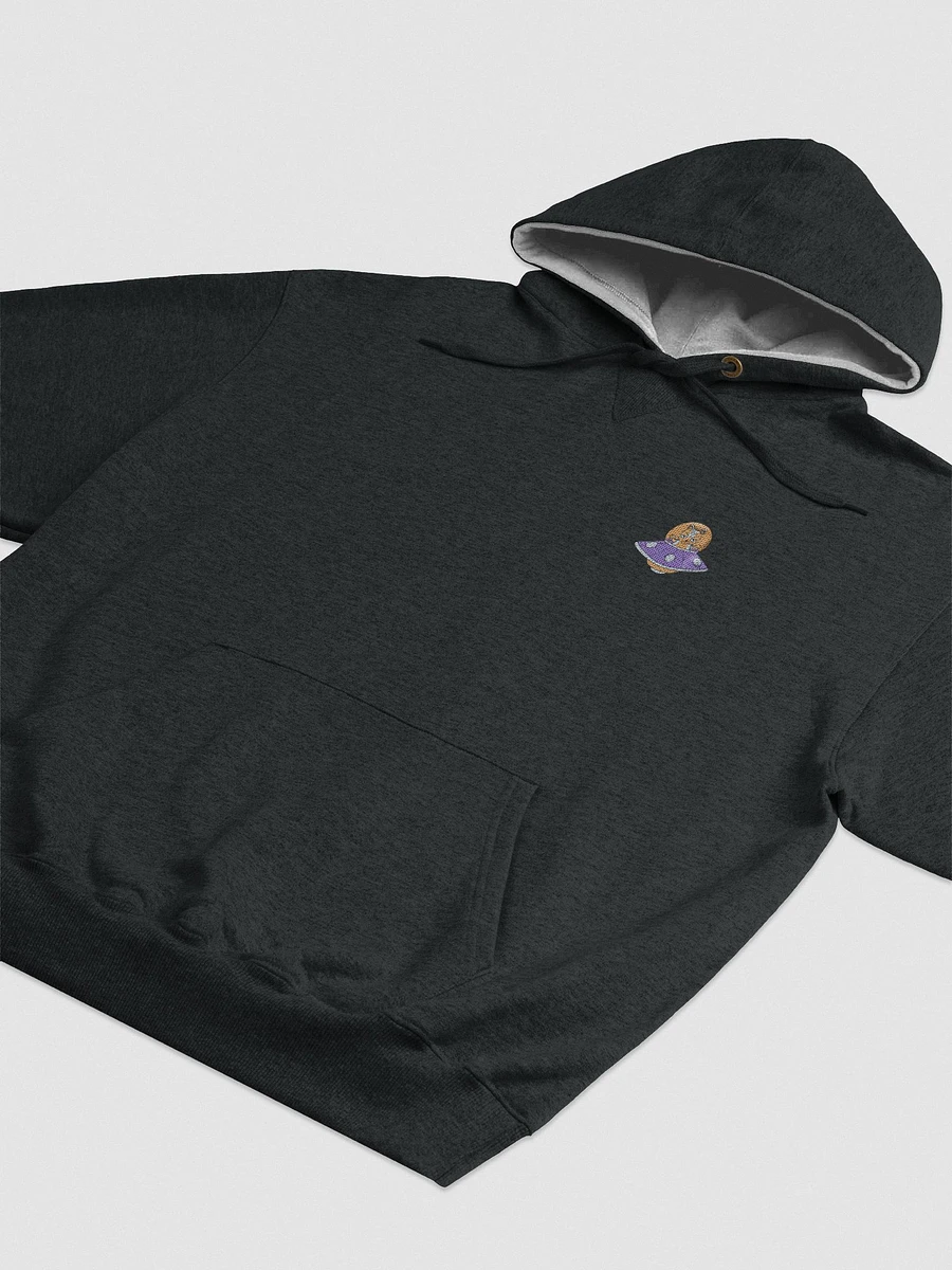Harrison Embroidered CHAMPION Hoodie product image (7)