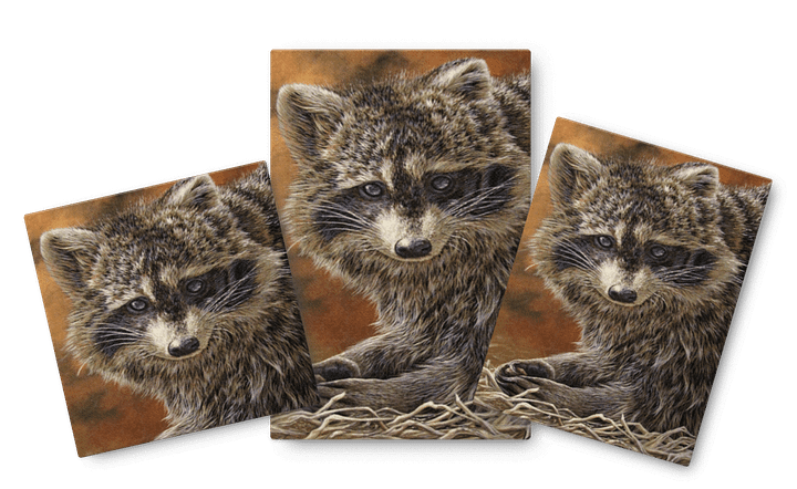 Raton/Racoon reproduction on/sur canvas product image (1)