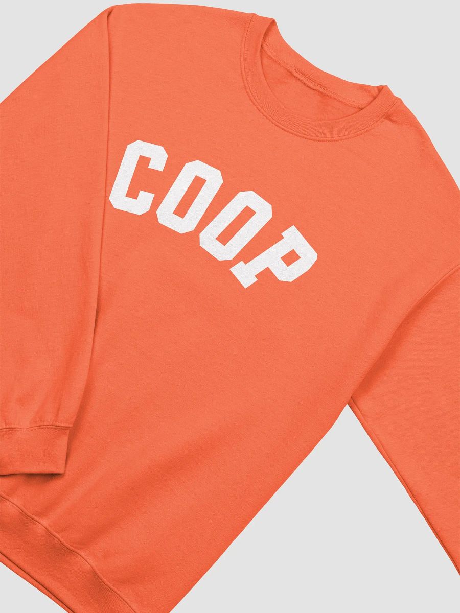 COOP Crewneck product image (3)