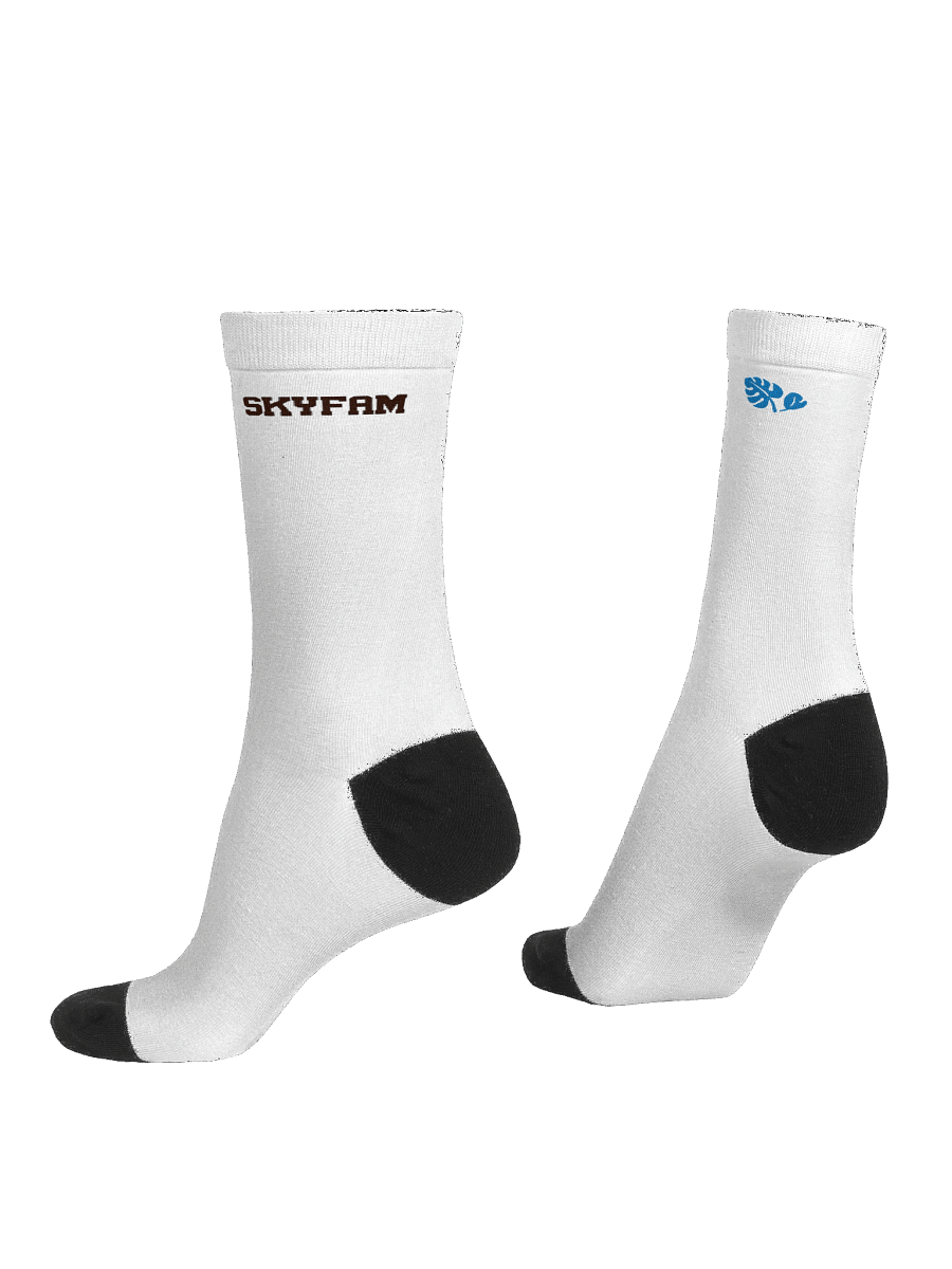 ItsSky Summer Club Socks product image (4)