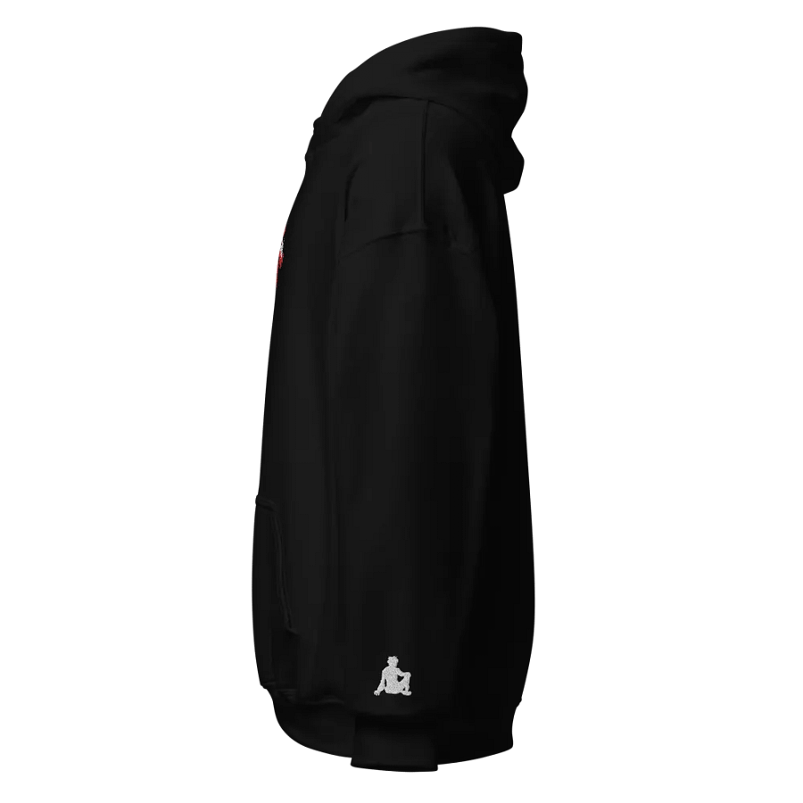 The Soul Embroidered Hoodie product image (2)
