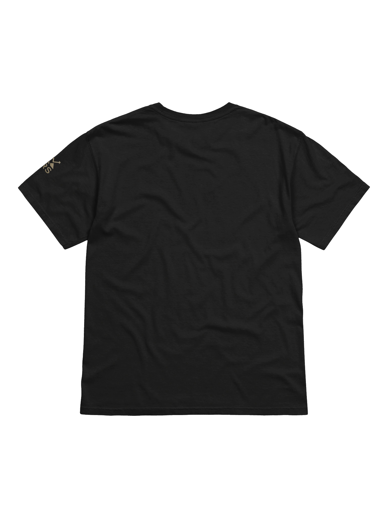 Gold Life Lifestyle Tee product image (15)