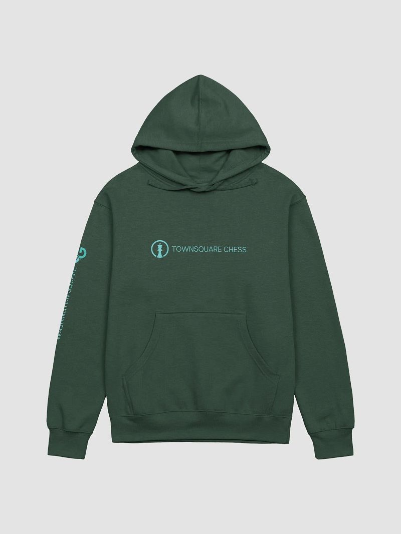 TownSquare Hoodie (Dark) | Wash Square Limited Edition