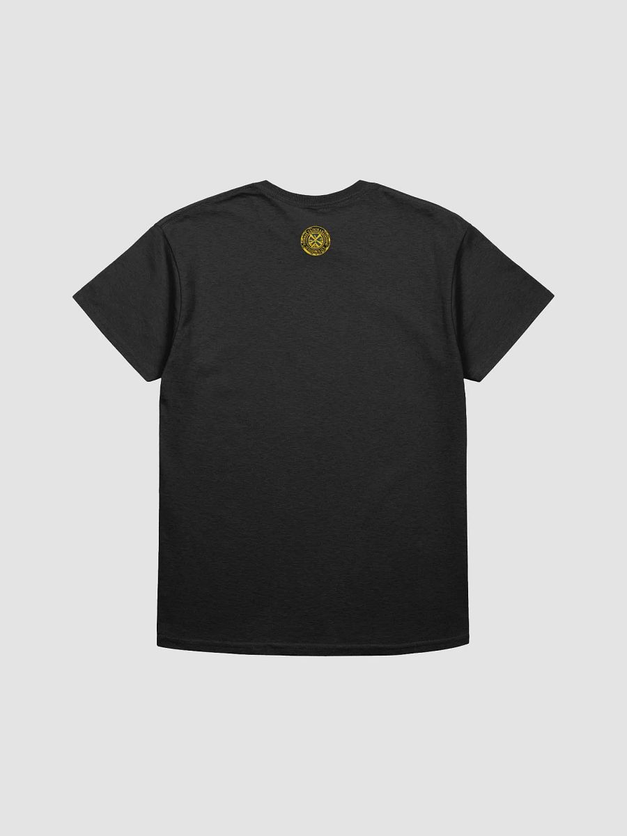 Queen Tubman 2 Tee product image (11)