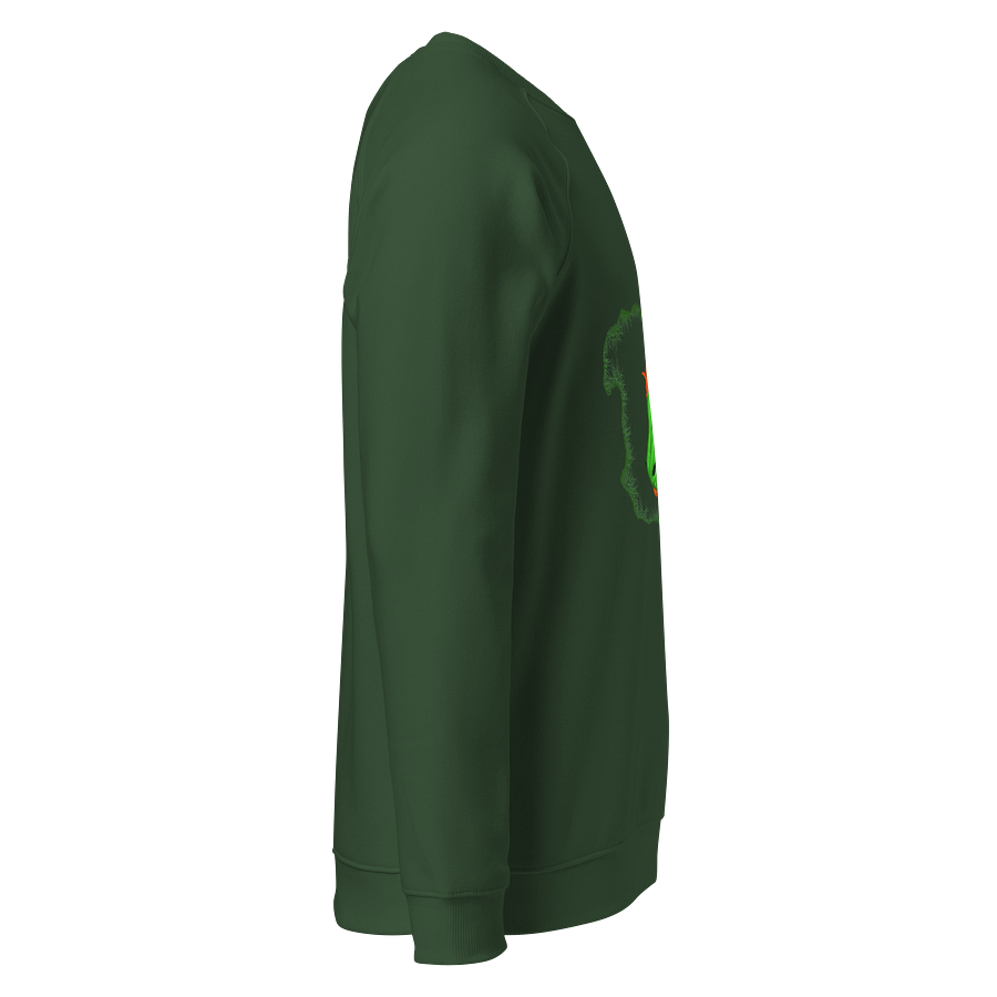 Dragonfire Unisex Raglan Sweatshirt product image (4)