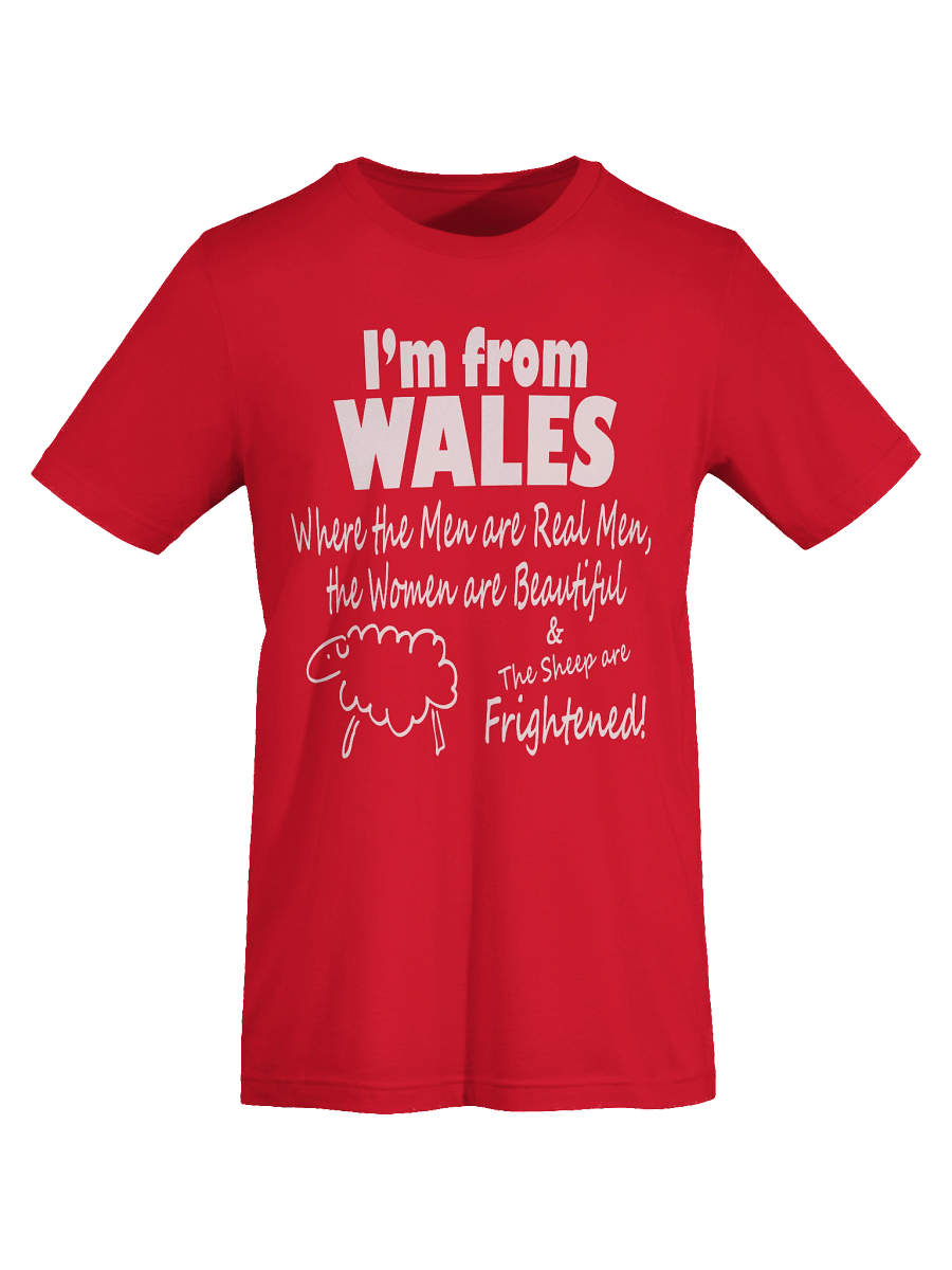 I'm from Wales "Real Men" T-Shirt product image (7)