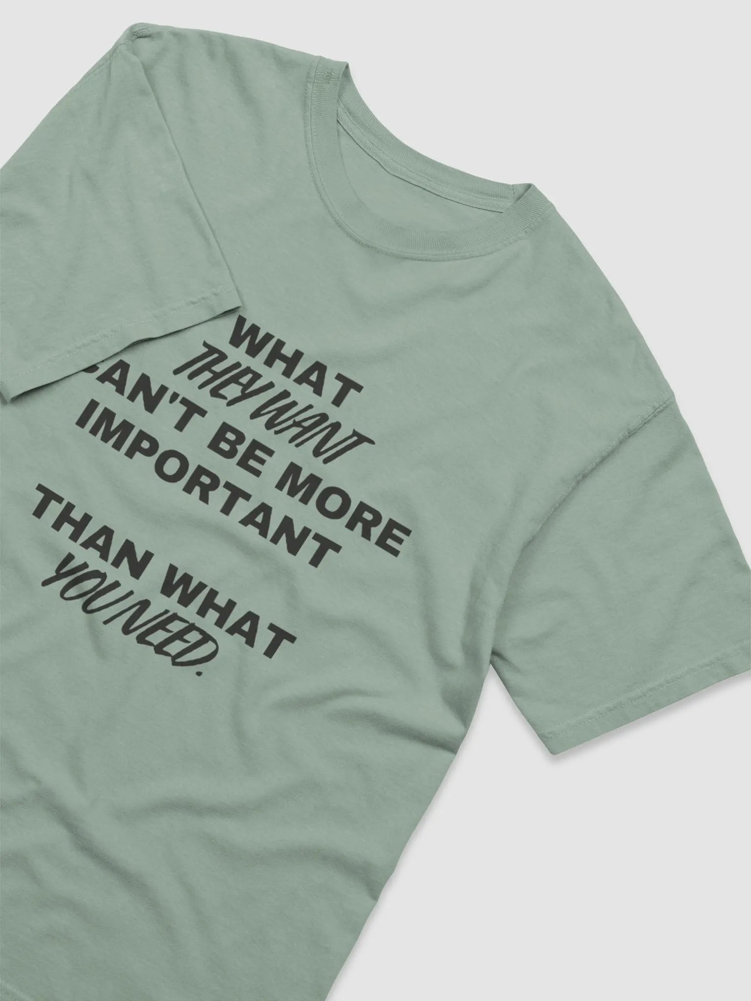 What they want t-shirt product image (3)
