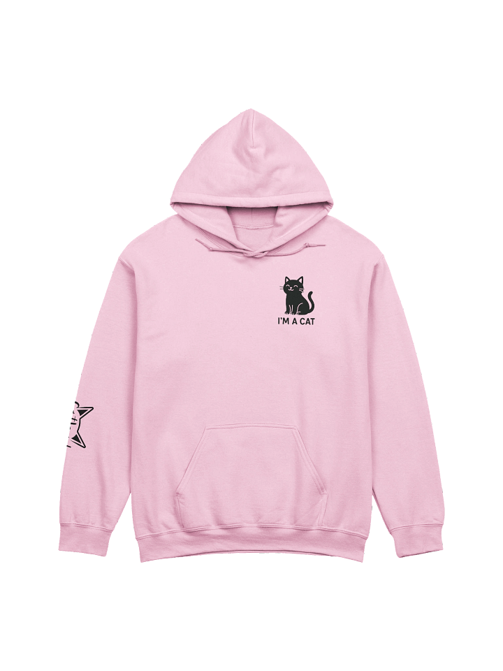 I'M A CAT HOODIE product image (1)